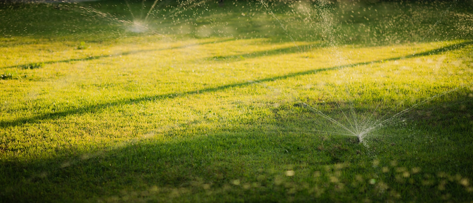 Sprinkler watering a lawn at sunset